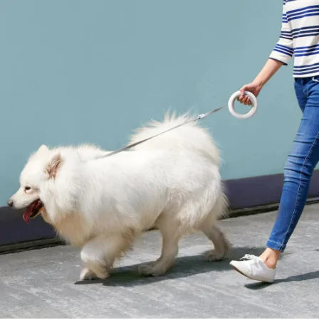 Smart LED Retractable Dog Leash