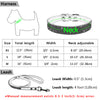 Sparkling Pet Collar