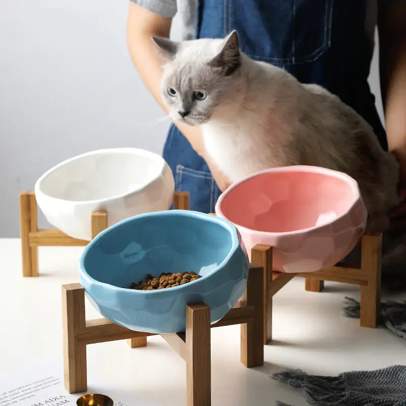 Purr-fect Cat bowl with Bamboo Stand