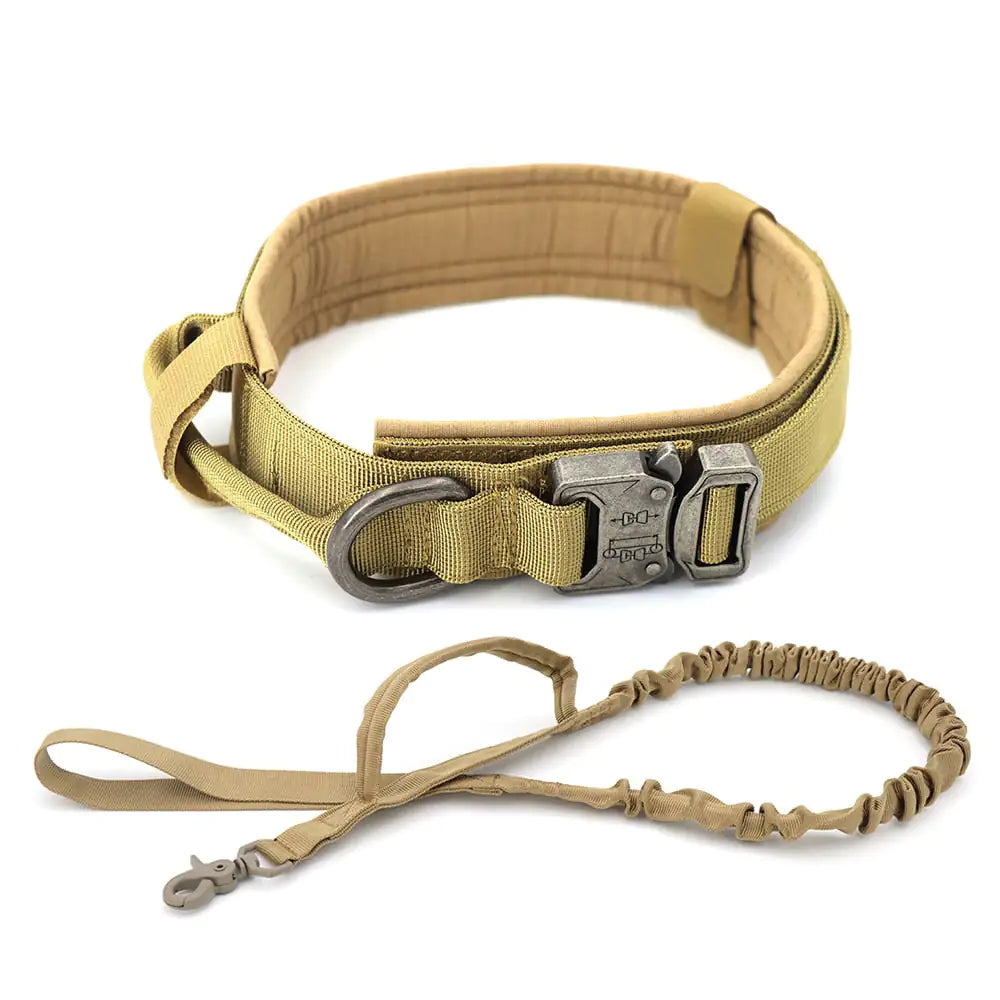 Durable Adjustable Dog Collar