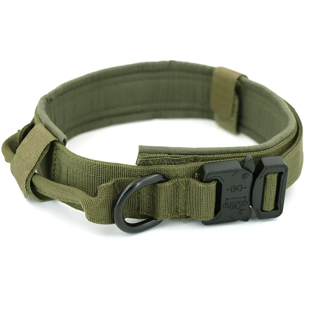 Durable Adjustable Dog Collar