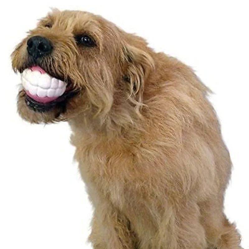 Pet Ball Teeth Silicon Chew Toys