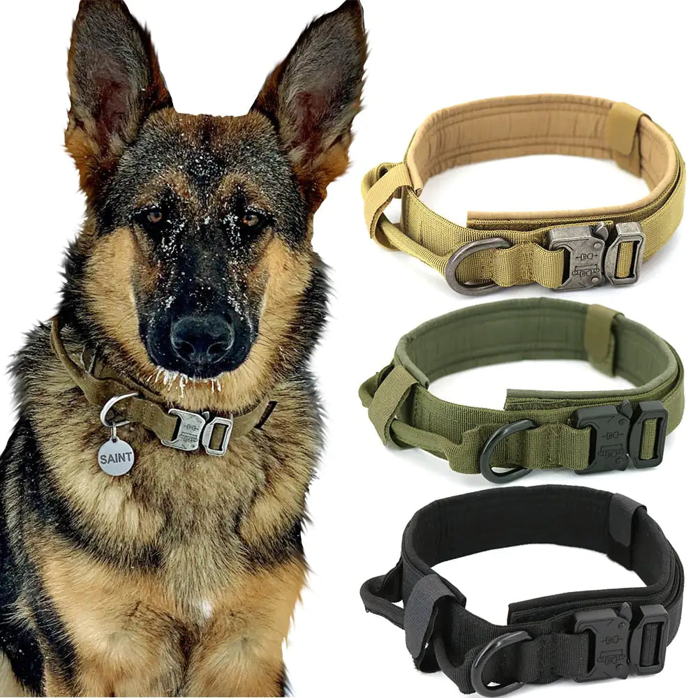 Durable Adjustable Dog Collar