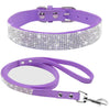 Sparkling Pet Collar