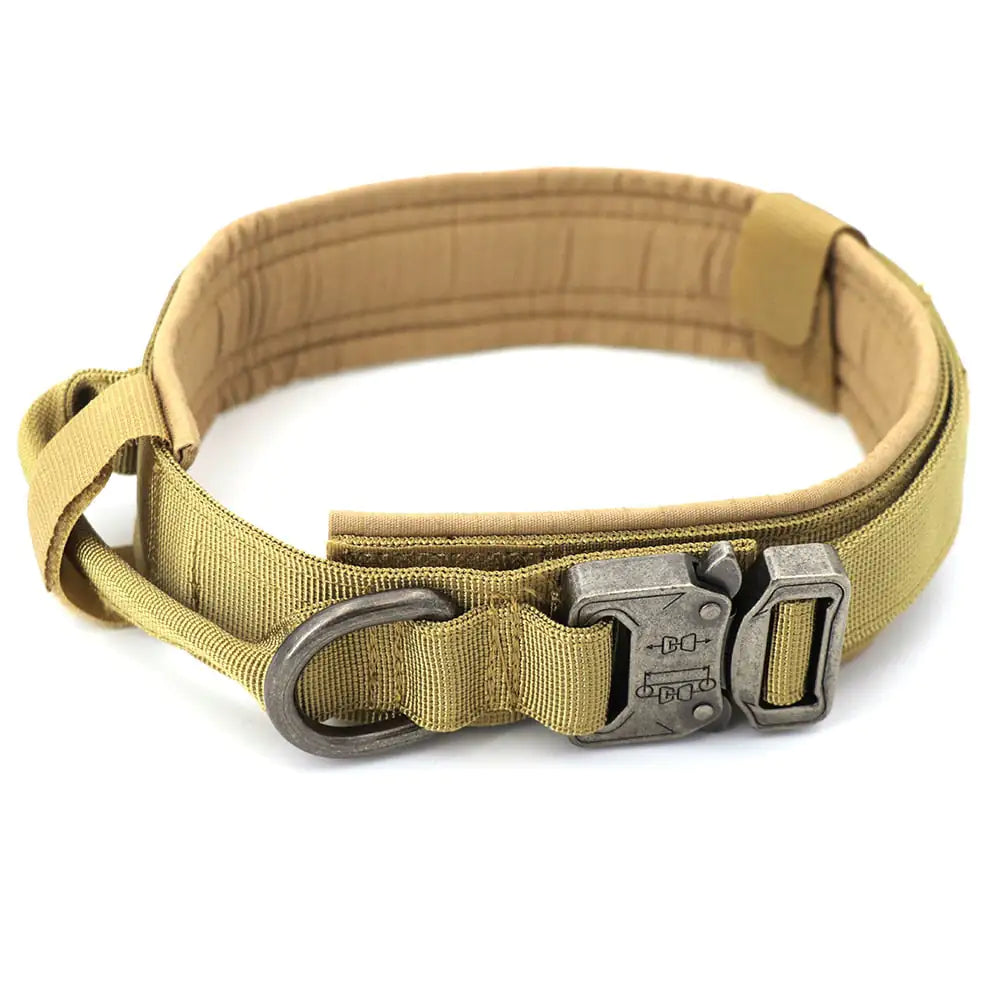 Durable Adjustable Dog Collar