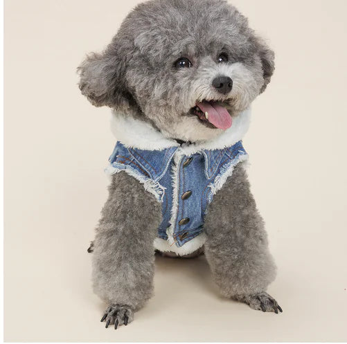 Justin - Denim Dog Jacket