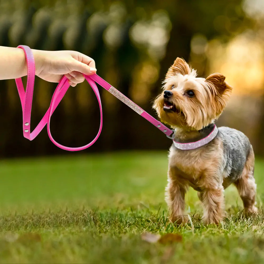 Sparkling Pet Collar