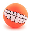 Pet Ball Teeth Silicon Chew Toys