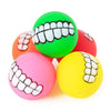 Pet Ball Teeth Silicon Chew Toys