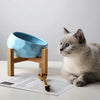 Purr-fect Cat bowl with Bamboo Stand