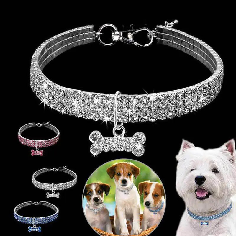 Sparkling Pet Collar with Bone Pendant