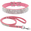 Sparkling Pet Collar